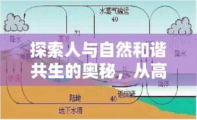 探索人與自然和諧共生的奧秘，從高飛之人與自流之水談起