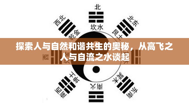 探索人與自然和諧共生的奧秘，從高飛之人與自流之水談起