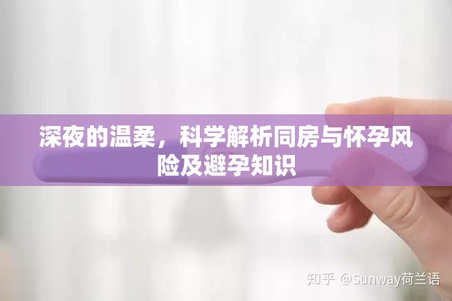 深夜的溫柔，科學(xué)解析同房與懷孕風(fēng)險(xiǎn)及避孕知識(shí)
