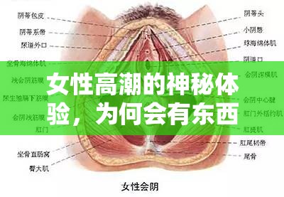 女性高潮的神秘體驗(yàn)，為何會(huì)有東西流出？