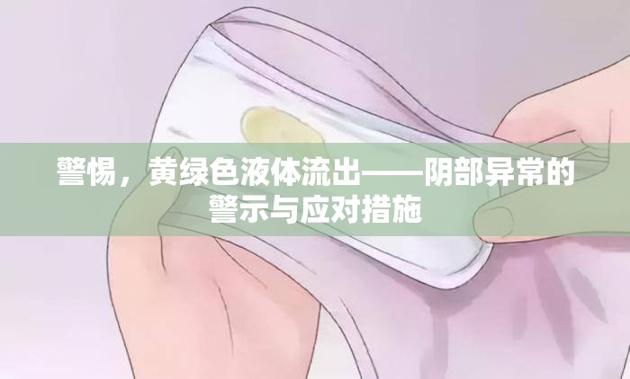警惕，黃綠色液體流出——陰部異常的警示與應(yīng)對(duì)措施