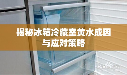 揭秘冰箱冷藏室黃水成因與應(yīng)對策略