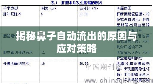揭秘鼻子自動流出的原因與應(yīng)對策略