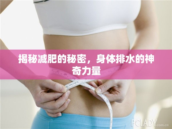 揭秘減肥的秘密，身體排水的神奇力量