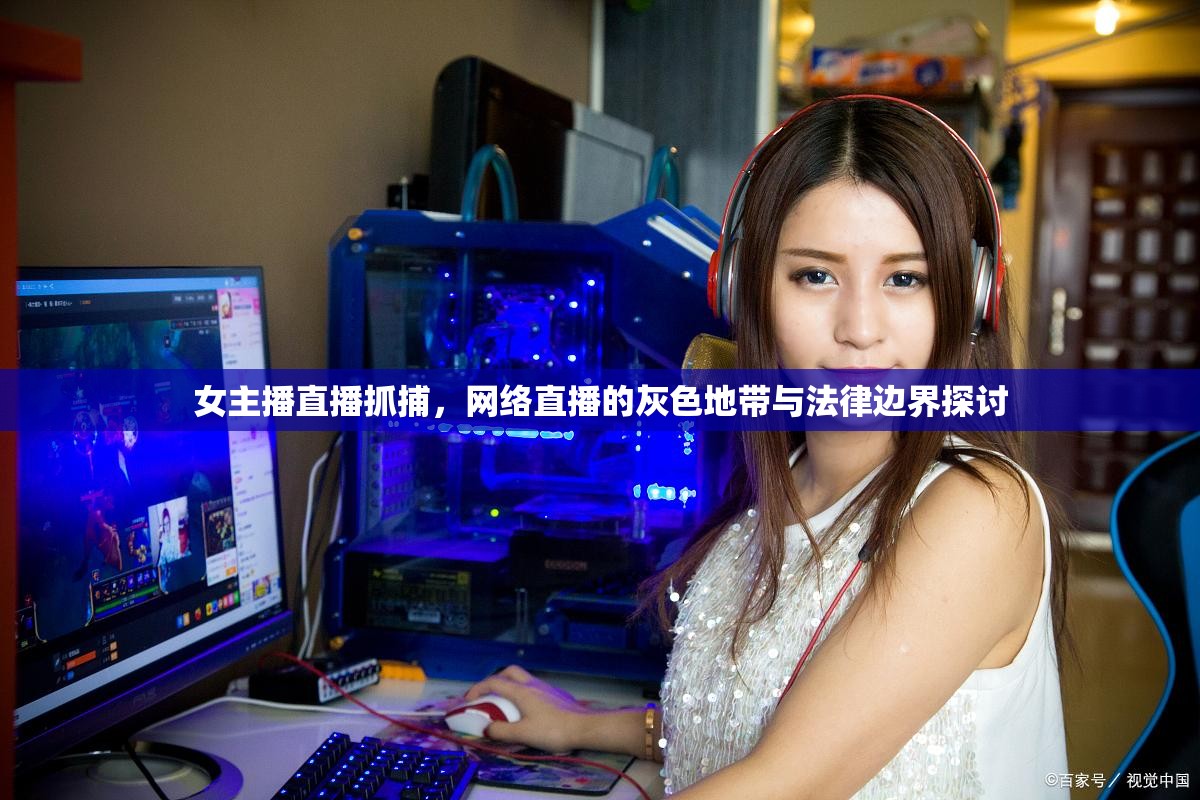 女主播直播抓捕，網絡直播的灰色地帶與法律邊界探討