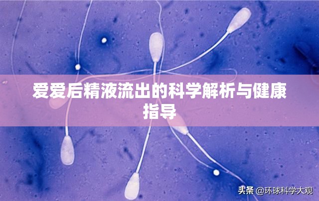 愛愛后精液流出的科學(xué)解析與健康指導(dǎo)