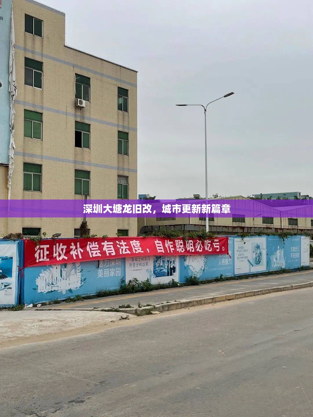 深圳大塘龍舊改，城市更新新篇章