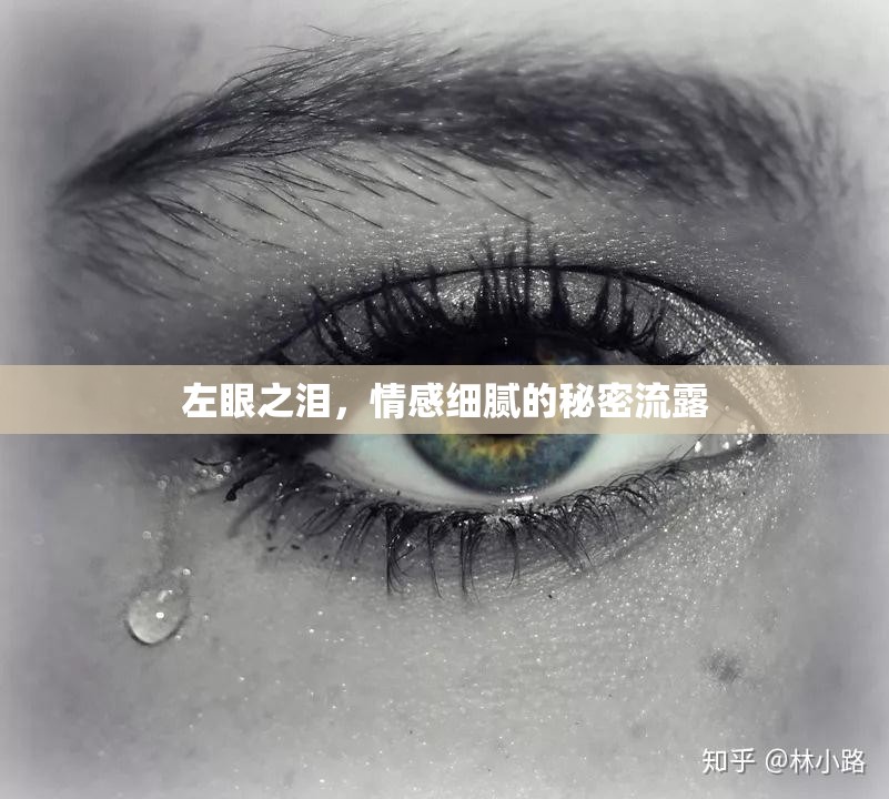 左眼之淚，情感細(xì)膩的秘密流露