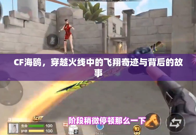 CF海鷗，穿越火線中的飛翔奇跡與背后的故事