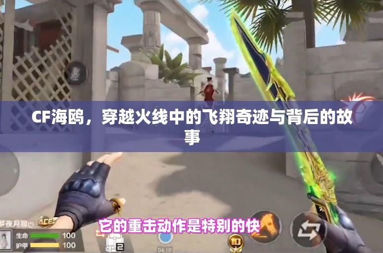 CF海鷗，穿越火線中的飛翔奇跡與背后的故事
