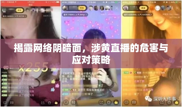 揭露網(wǎng)絡(luò)陰暗面，涉黃直播的危害與應(yīng)對策略
