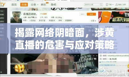 揭露網(wǎng)絡(luò)陰暗面，涉黃直播的危害與應(yīng)對策略