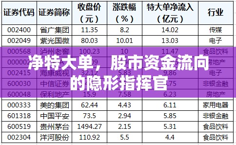 凈特大單，股市資金流向的隱形指揮官