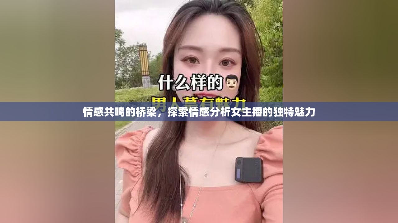 情感共鳴的橋梁，探索情感分析女主播的獨(dú)特魅力