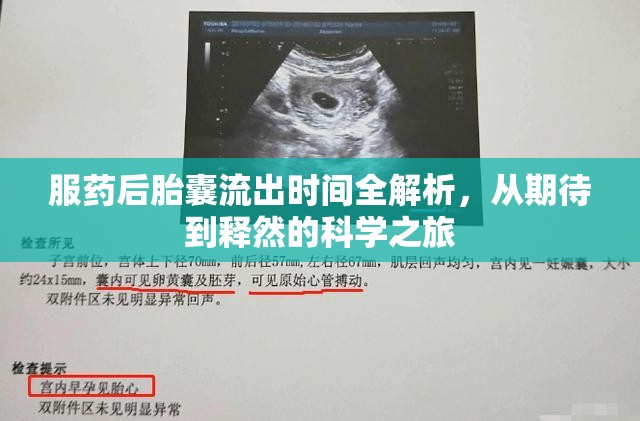 服藥后胎囊流出時間全解析，從期待到釋然的科學(xué)之旅