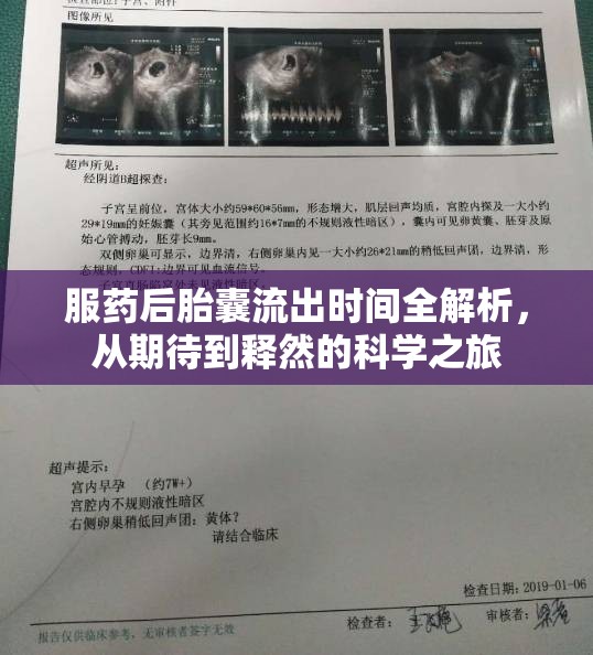 服藥后胎囊流出時間全解析，從期待到釋然的科學(xué)之旅