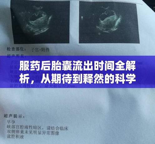 服藥后胎囊流出時間全解析，從期待到釋然的科學(xué)之旅