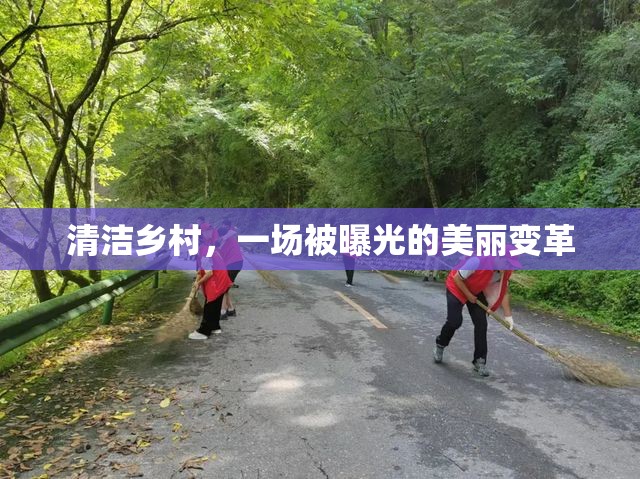 清潔鄉(xiāng)村，一場被曝光的美麗變革