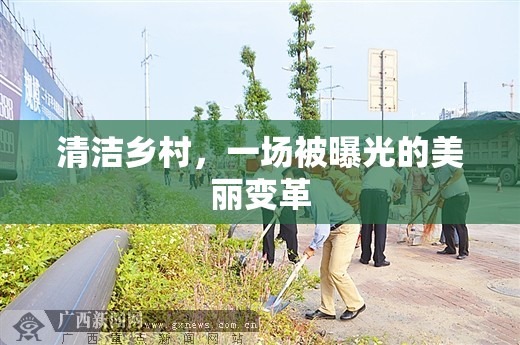 清潔鄉(xiāng)村，一場被曝光的美麗變革