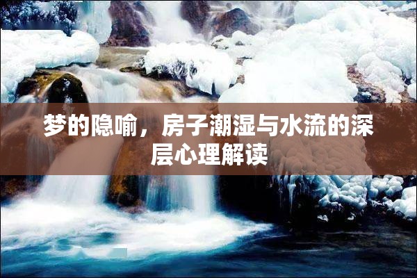 夢的隱喻，房子潮濕與水流的深層心理解讀