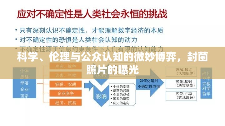 科學(xué)、倫理與公眾認(rèn)知的微妙博弈，封菌照片的曝光