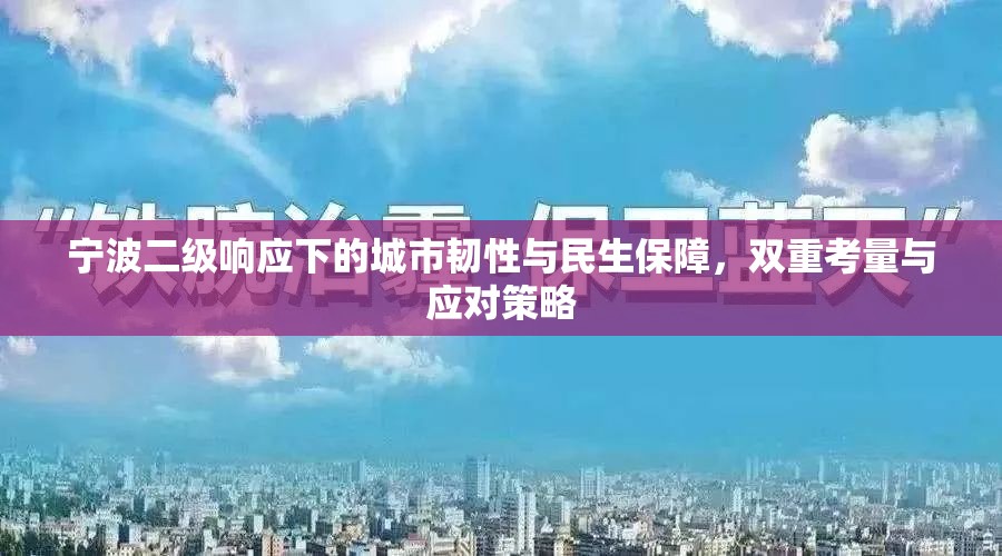 寧波二級響應下的城市韌性與民生保障，雙重考量與應對策略