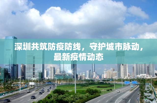 深圳共筑防疫防線，守護(hù)城市脈動，最新疫情動態(tài)