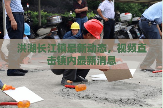 洪湖長江鎮(zhèn)最新動態(tài)，視頻直擊鎮(zhèn)內(nèi)最新消息