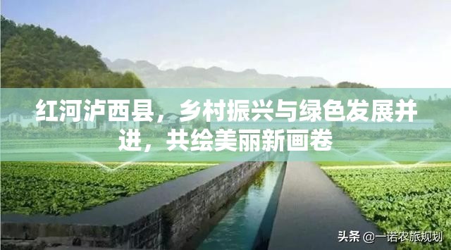 紅河瀘西縣，鄉(xiāng)村振興與綠色發(fā)展并進(jìn)，共繪美麗新畫卷