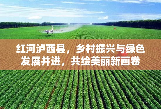 紅河瀘西縣，鄉(xiāng)村振興與綠色發(fā)展并進(jìn)，共繪美麗新畫卷