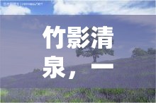 竹影清泉，一場味覺與自然的奇妙邂逅