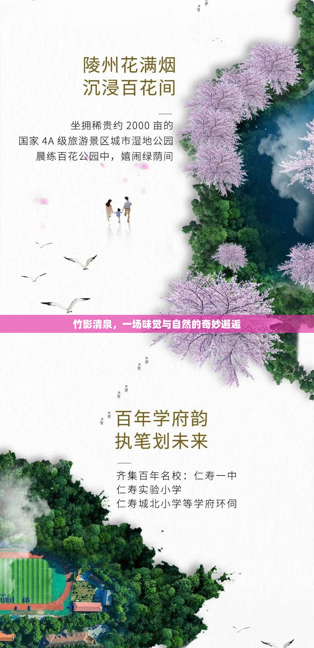 竹影清泉，一場味覺與自然的奇妙邂逅