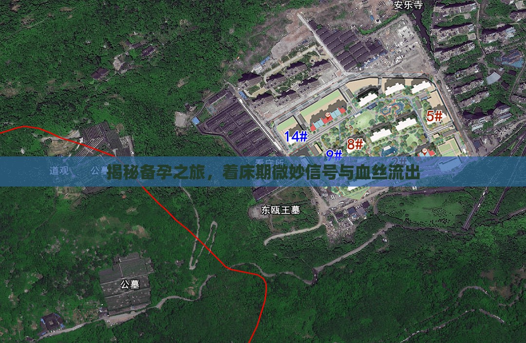 揭秘備孕之旅，著床期微妙信號與血絲流出