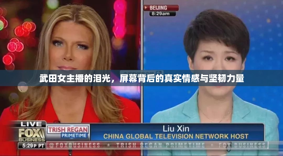 武田女主播的淚光，屏幕背后的真實(shí)情感與堅(jiān)韌力量