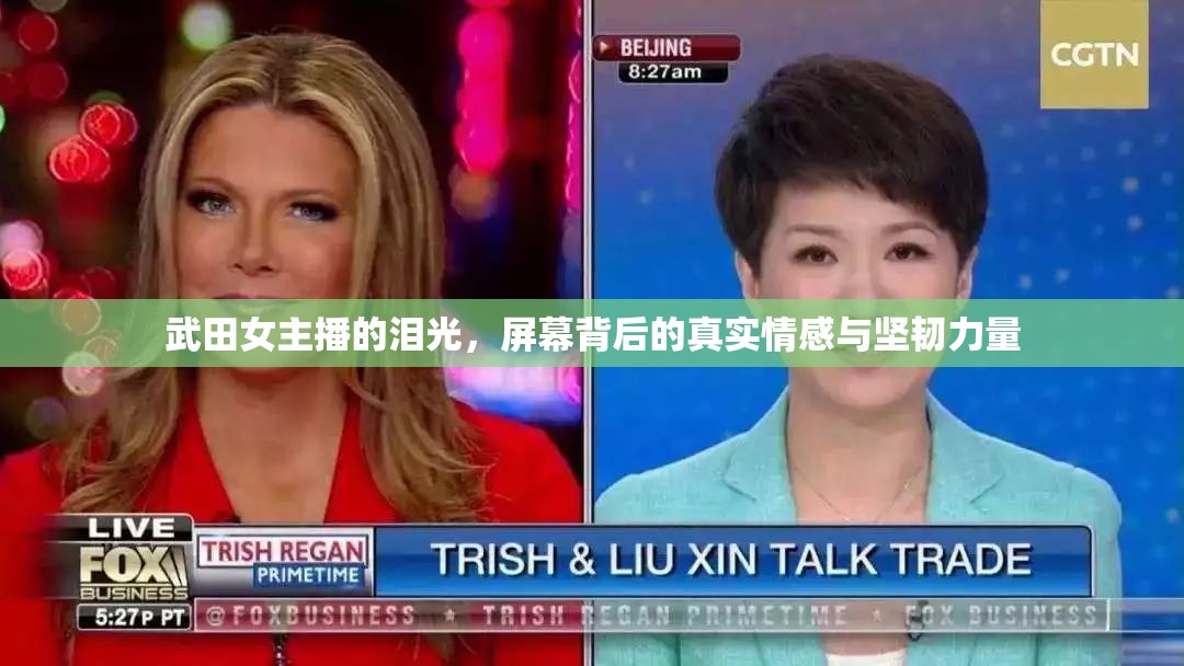 武田女主播的淚光，屏幕背后的真實(shí)情感與堅(jiān)韌力量
