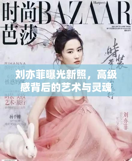 劉亦菲曝光新照，高級感背后的藝術(shù)與靈魂