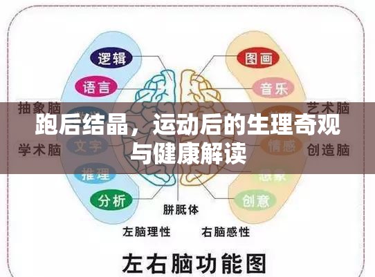 跑后結(jié)晶，運(yùn)動(dòng)后的生理奇觀與健康解讀