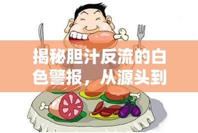揭秘膽汁反流的白色警報(bào)，從源頭到應(yīng)對(duì)的全面解析