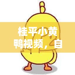 桂平小黃鴨視頻，自然與人文的溫馨對話