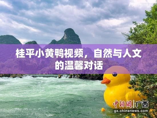 桂平小黃鴨視頻，自然與人文的溫馨對話