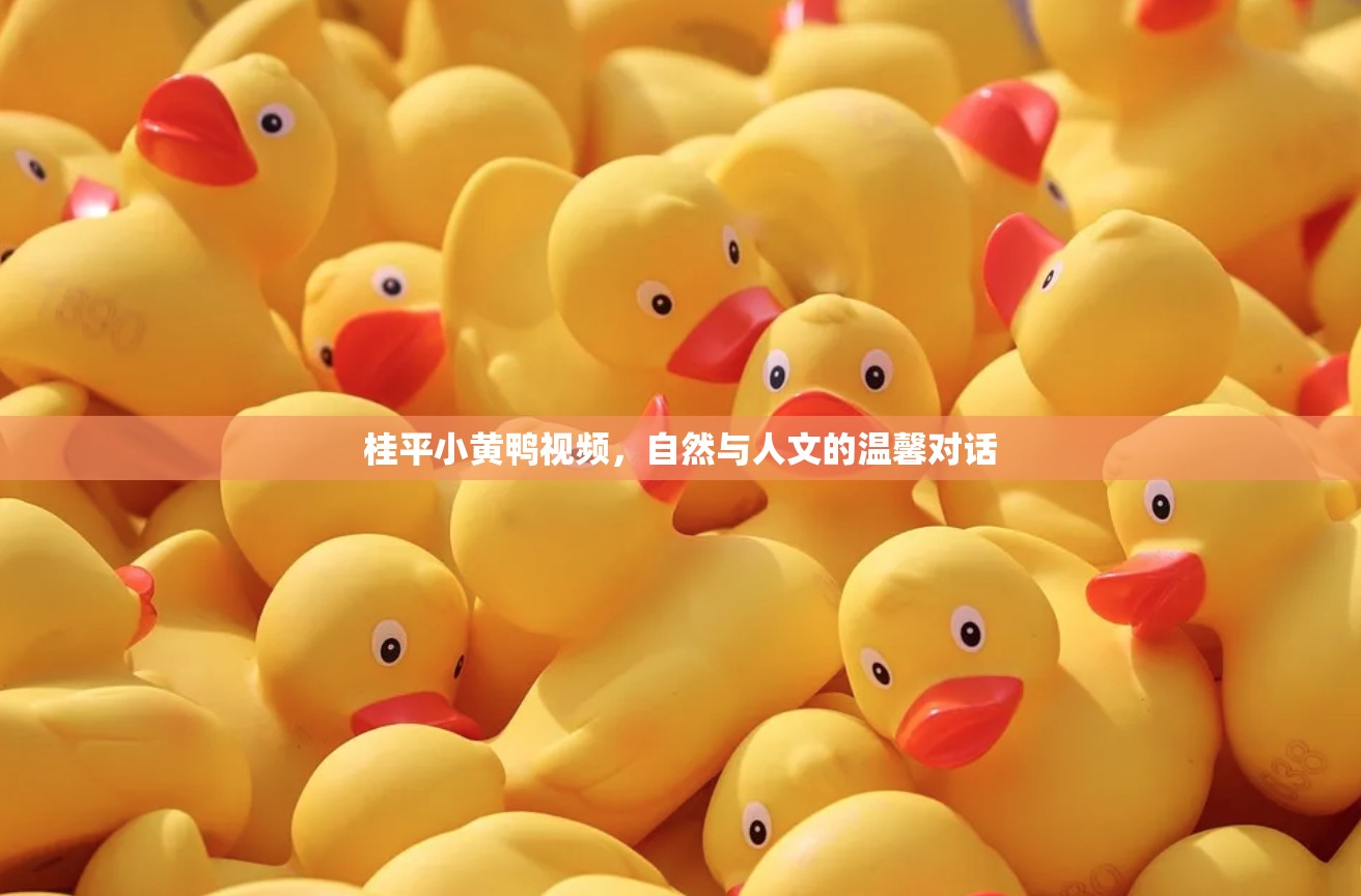 桂平小黃鴨視頻，自然與人文的溫馨對話