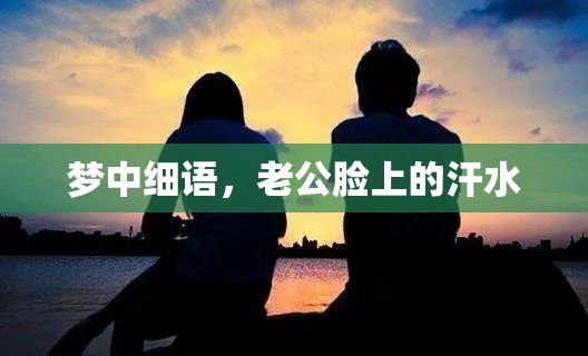 夢(mèng)中細(xì)語(yǔ)，老公臉上的汗水