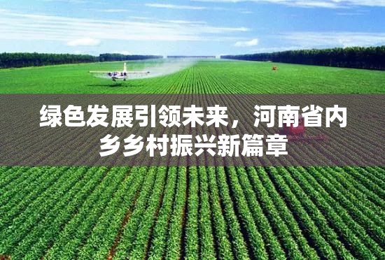 綠色發(fā)展引領(lǐng)未來(lái)，河南省內(nèi)鄉(xiāng)鄉(xiāng)村振興新篇章