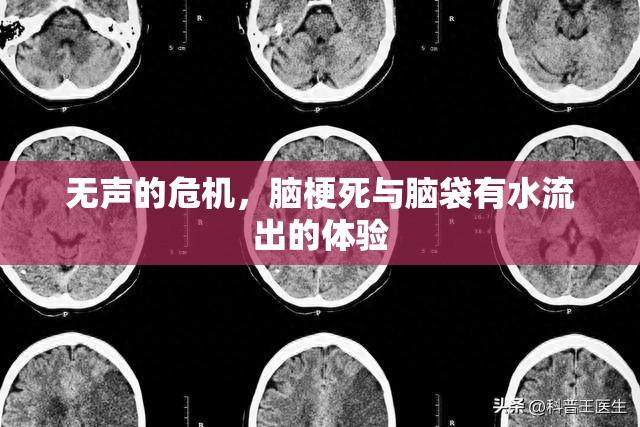 無(wú)聲的危機(jī)，腦梗死與腦袋有水流出的體驗(yàn)