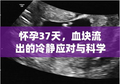 懷孕37天，血塊流出的冷靜應(yīng)對(duì)與科學(xué)解讀