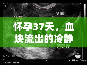 懷孕37天，血塊流出的冷靜應(yīng)對(duì)與科學(xué)解讀