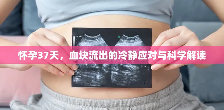 懷孕37天，血塊流出的冷靜應(yīng)對(duì)與科學(xué)解讀