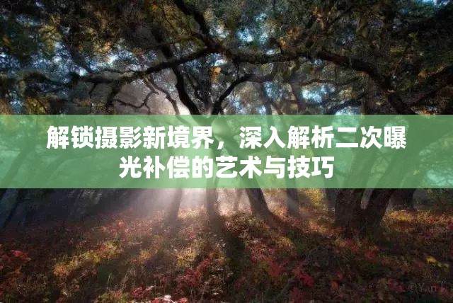 解鎖攝影新境界，深入解析二次曝光補(bǔ)償?shù)乃囆g(shù)與技巧