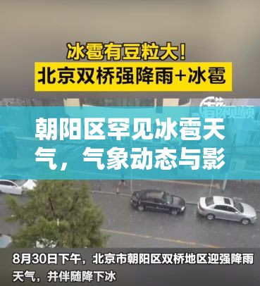朝陽區(qū)罕見冰雹天氣，氣象動態(tài)與影響分析
