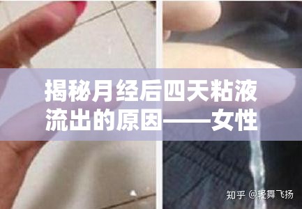 揭秘月經(jīng)后四天粘液流出的原因——女性健康小知識
